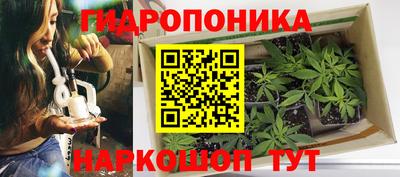 кокаин Кингисепп