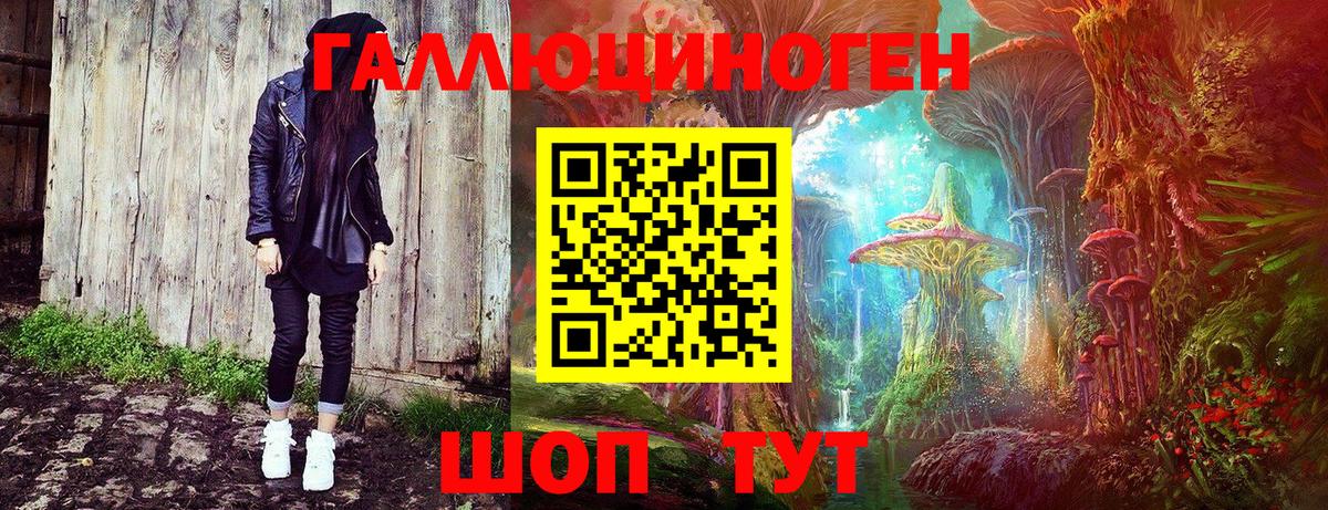 Псилоцибиновые грибы GOLDEN TEACHER  Вход с VPN  Кувандык  Псилоцибиновые грибы Psilocybine cubensis 