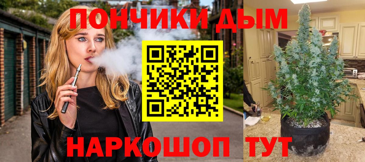 Конопля гибрид Кувандык